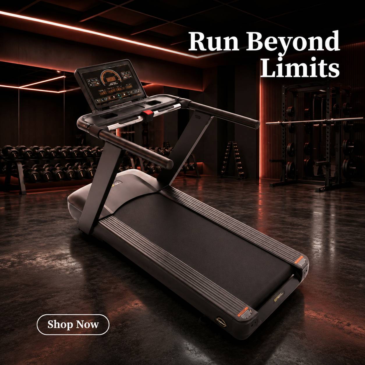 TimeFit gym machines collection