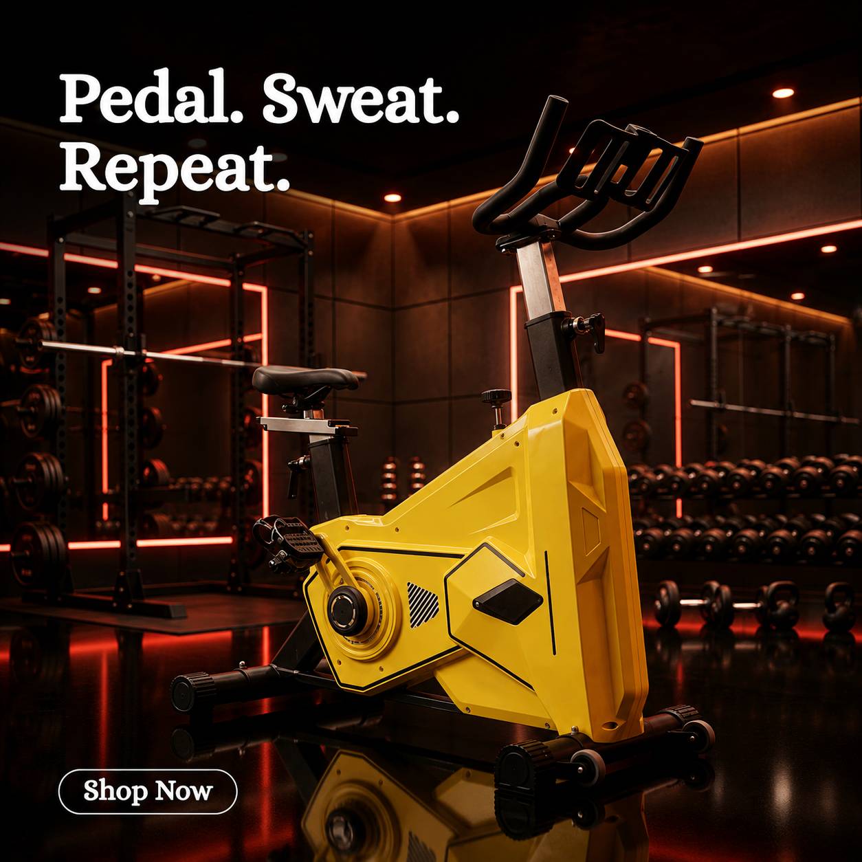 TimeFit gym accessories collection