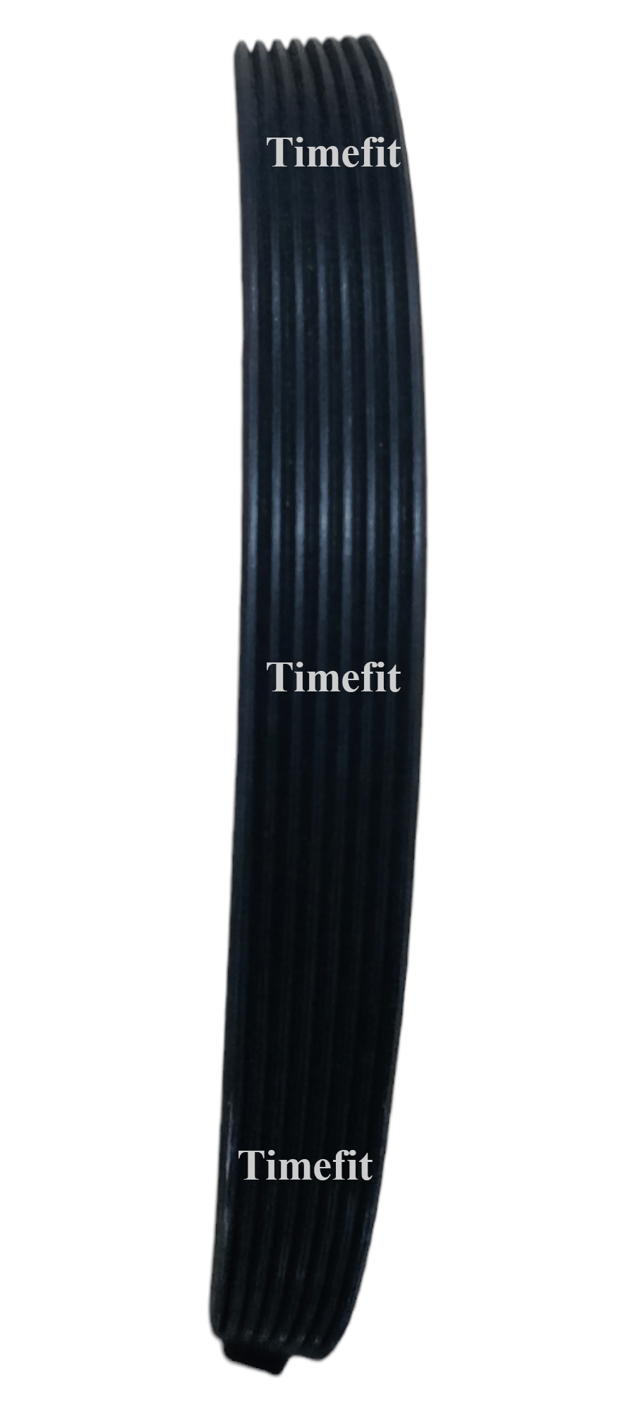 Spine Bike Belt - Image 2