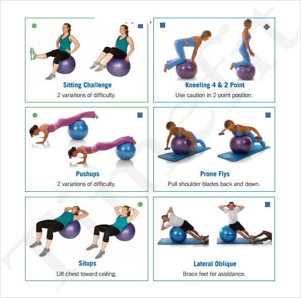 Gym Ball 1 - Image 3