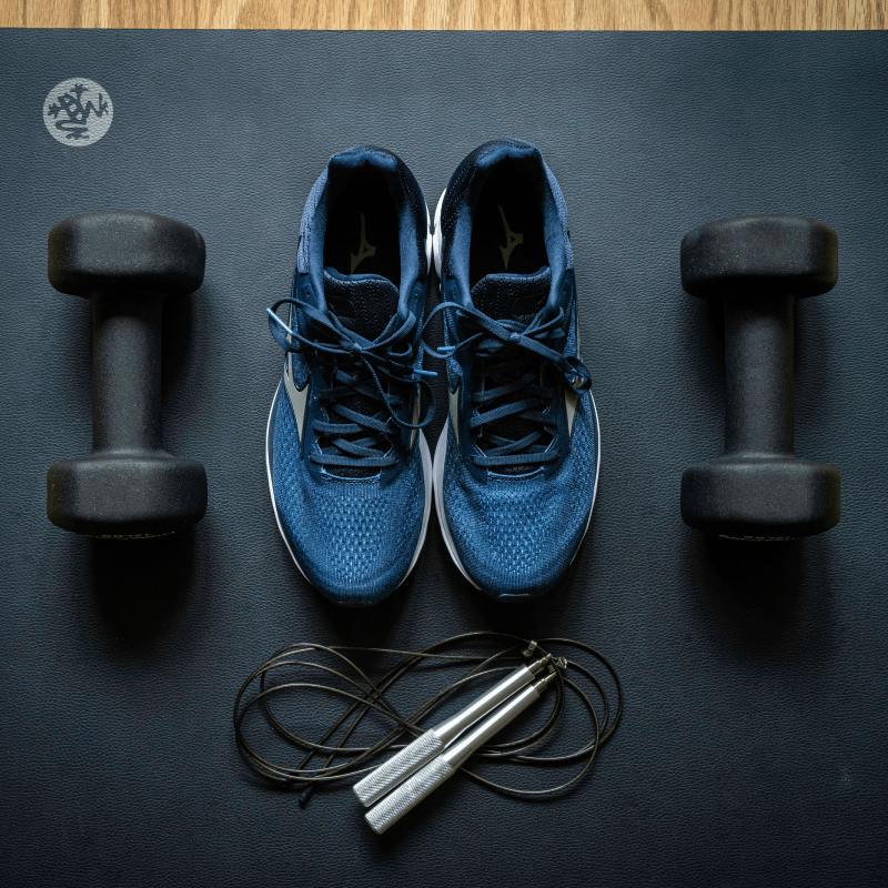 Climber Pro Gym Equipment